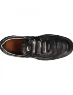 Clearance New Rock Furiou -Crah001-C25
