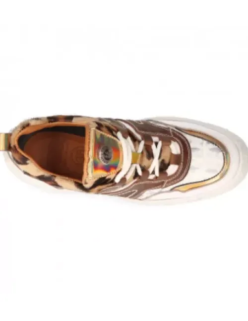 Clearance New Rock Furiou -Crah019-C2