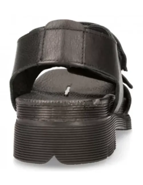 New New Rock -BIO108-C8